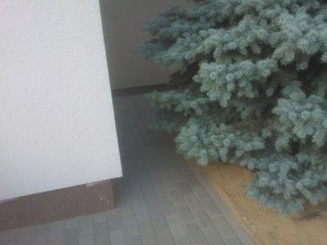 WP_000045
